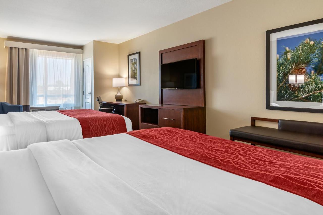 Comfort Inn & Suites Tifton Oda fotoğraf